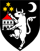 Velika Gorica - Vapen