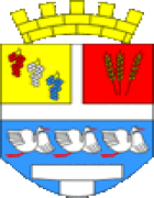Vinkovci - Vapen