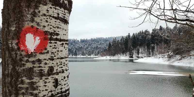 Lokvarsko lake