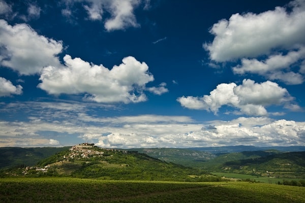 Motovun skog, Kroatien