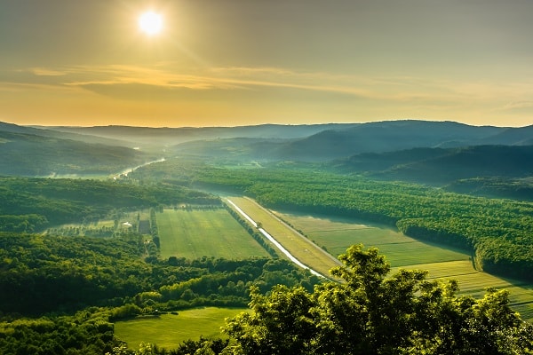 Motovun skog, Kroatien