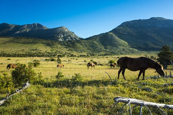 Velebit Nature Park, Kroatien