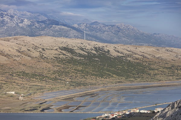 saltarbete på ön Pag, Kroatien