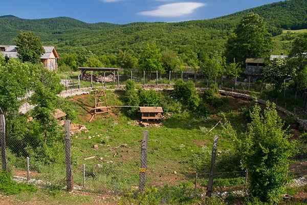 Refuge för björnar Kuterevo, Kroatien